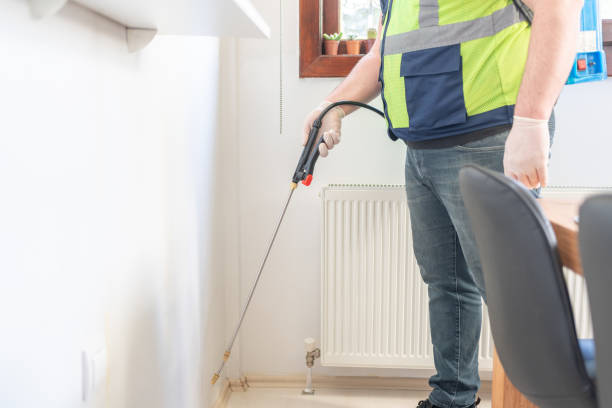 Best Pest Control for Homes  in Valley Park, MO
