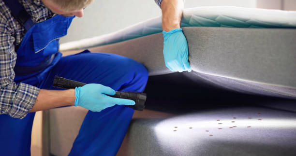 Best Pest Control Near Me  in Valley Park, MO