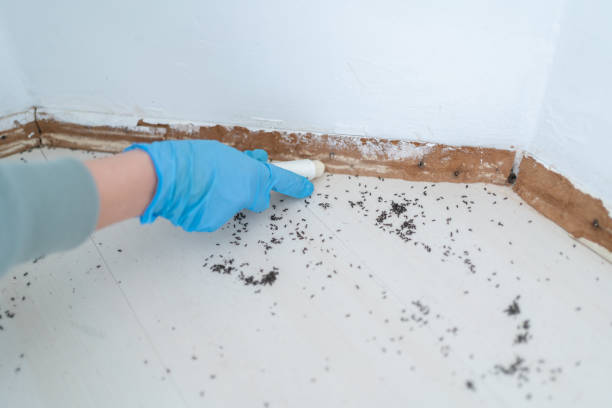 Wildlife Control Services in Valley Park, MO