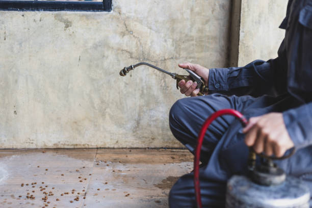 Best Pest Prevention Services  in Valley Park, MO