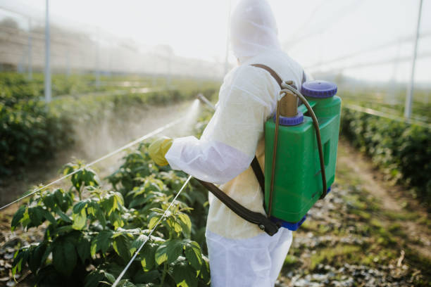 Best Pest Control Near Me  in Valley Park, MO